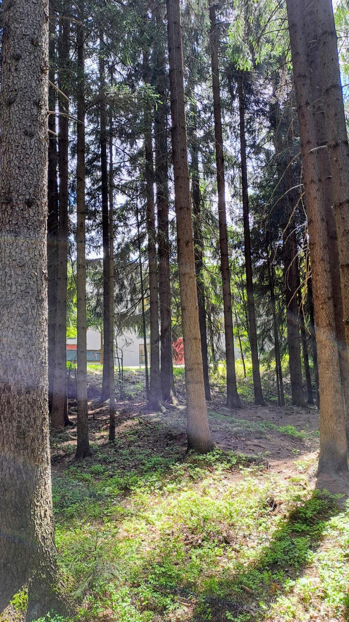 Plne Vybaveny Apartman Pod Mumlavskym Vodopadem, Zahrada S Ohnistem, Idealni Vychozi Bod Pro Turistiku, U Cesty Na Hrebeny, Kousek Do Centra, Absolutni Klid, Vybaveny I Pro Deti, Wellness A Fitko Naproti Harrachov Exteriör bild